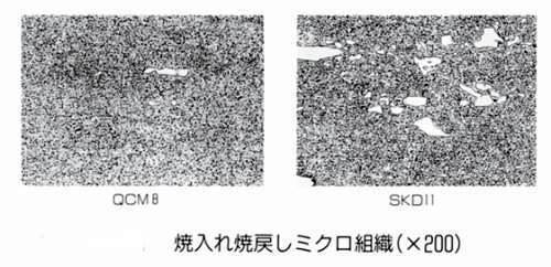 顕微鏡組織の比較