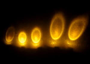 こちらにユーチューブの動画があります